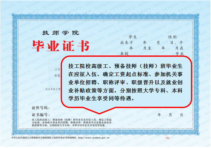 新版技師學(xué)院、技工學(xué)校畢業(yè)證書、技能等級(jí)證書及學(xué)籍查詢網(wǎng)址