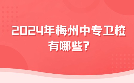 2024年梅州中專衛(wèi)校有哪些?