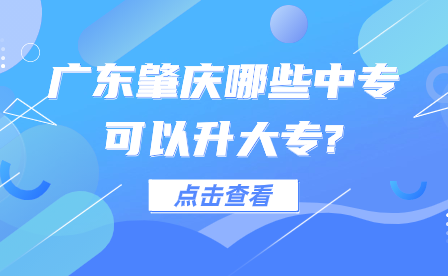 廣東肇慶哪些中?？梢陨髮?
