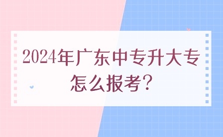 2024年廣東中專升大專怎么報考?