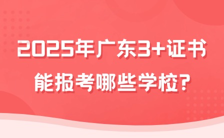 2025年廣東3+證書能報考哪些學(xué)校?