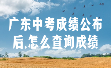廣東中考成績(jī)公布后,怎么查詢成績(jī)