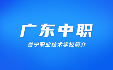 普寧職業(yè)技術學校簡介