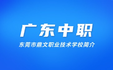 東莞市鼎文職業(yè)技術(shù)學校簡介